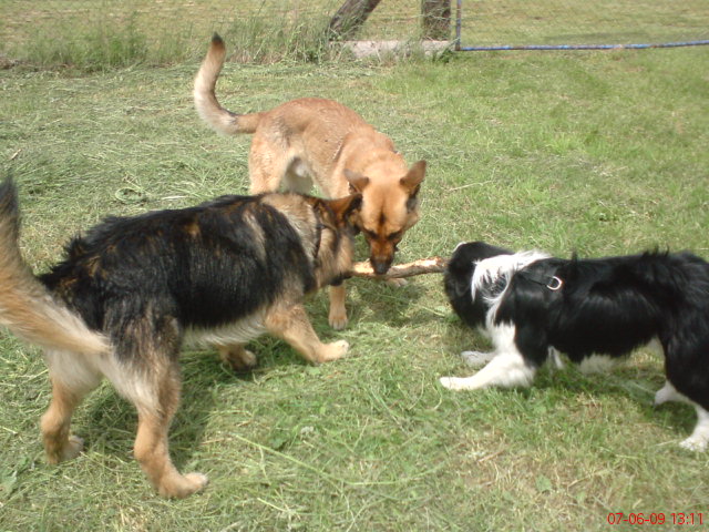 DSC01606.JPG